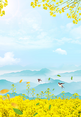 小清新春天你好油菜花风景插画背景