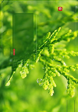 清新綠色立夏節(jié)氣海報背景設(shè)計