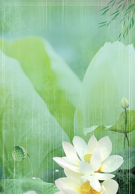 立夏雨中白蓮花海報背景設(shè)計