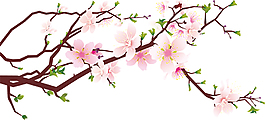 矢量桃花裝飾元素