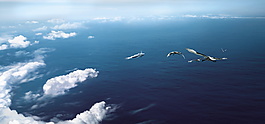 辽阔的大海海报背景banner