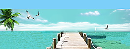 清新夏日海邊棧板背景