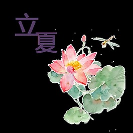 溫柔畫風(fēng)荷花立夏節(jié)氣元素