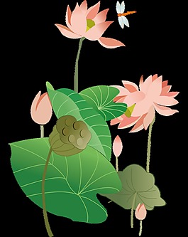 清新淡橘色立夏节气元素