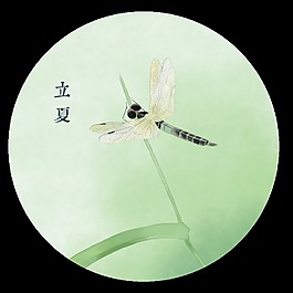清新淡綠色荷葉立夏節(jié)氣元素