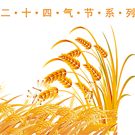金色小麥小滿裝飾元素