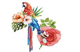 手繪花鳥圖元素