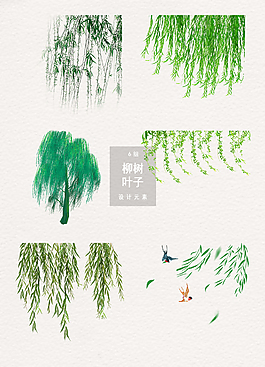清新柳樹葉子柳條元素