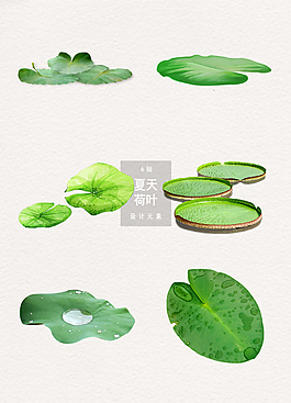 夏天荷葉裝飾設計素材