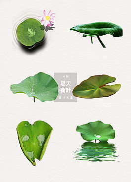 夏天荷葉圖案裝飾設計