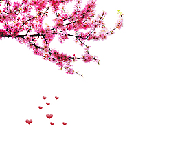 手繪中國風(fēng)桃花水墨畫素材