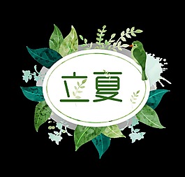 二十四節氣立夏藝術字
