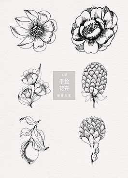 黑白手繪花卉素材