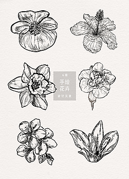 手绘线性花卉素材