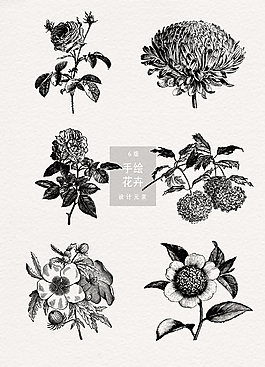 創(chuàng)意黑白手繪花朵素材