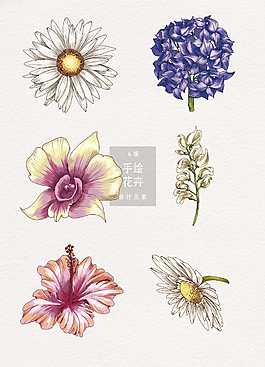 矢量手绘花卉花朵插画