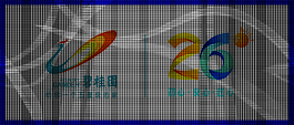 碧桂園聯合logo