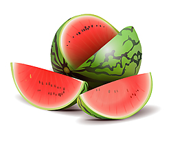 矢量西瓜夏季元素