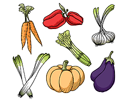 矢量彩色蔬菜元素