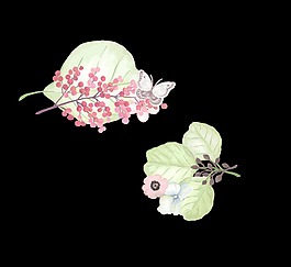 手繪水彩花朵葉子裝飾素材