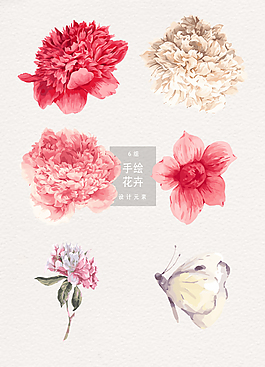 唯美高精手繪花卉素材
