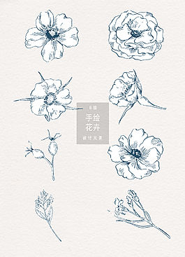 唯美手绘线性花卉