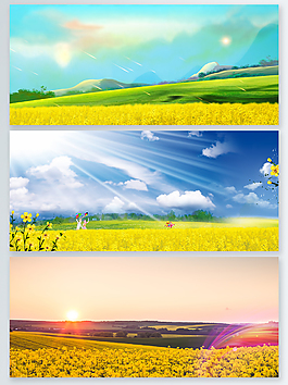 大氣油菜花風景宣傳海報