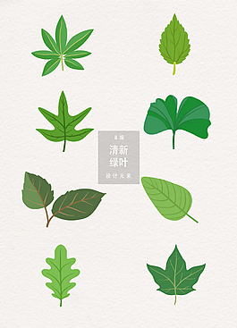 手繪樹(shù)葉矢量素材