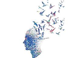 卡通抽象藍色小鳥組合人頭像png元素