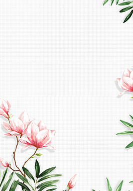 清新唯美玉蘭花海報背景