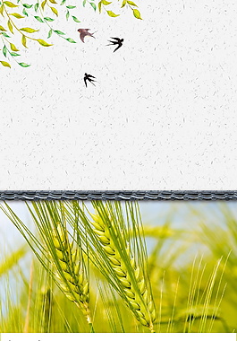 樹葉下燕子戲耍小滿背景素材