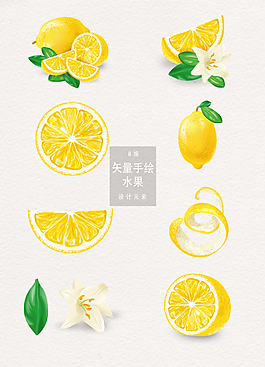 矢量檸檬水果