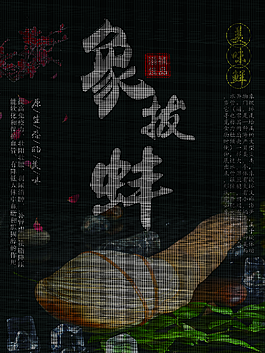 象拔蚌促销海报