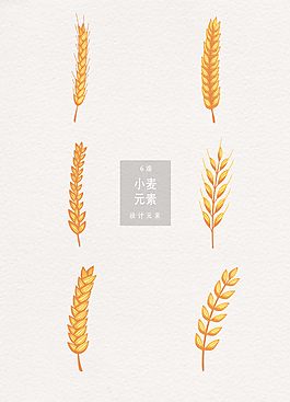 小麥設(shè)計(jì)元素矢量素材