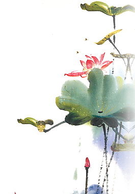 古风彩绘荷花海报背景设计