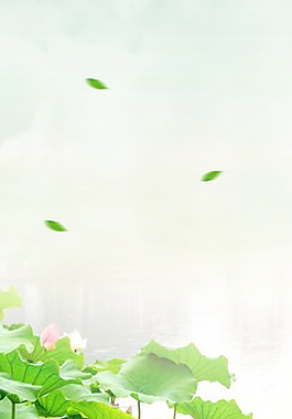 清新夏日荷花海报背景设计