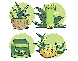 清新綠色植物元素