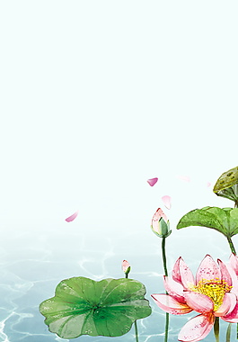 清新荷花海报背景素材