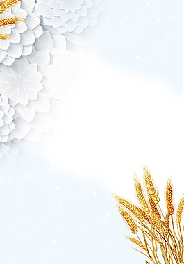 白色立体花朵小满麦束海报背景设计