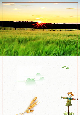 清新綠色小滿節(jié)氣麥田稻草人邊框海報背景