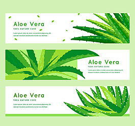 3款彩繪綠色蘆薈banner矢量素材