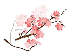 卡通粉色桃花png元素