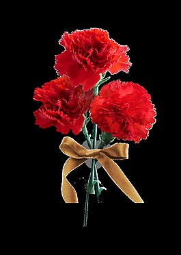 紅色時尚花朵裝飾素材