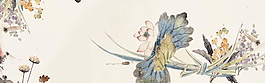 古風清新脫俗荷花背景圖