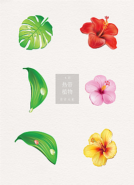 熱帶植物花朵ai矢量元素素材