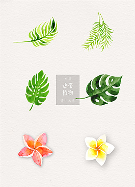 热带植物ai矢量水彩清新元素素材