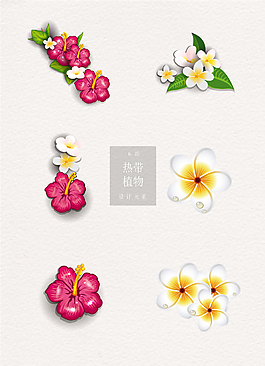 熱帶植物ai矢量花朵元素素材