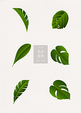 熱帶植物ai矢量元素綠色葉子素材