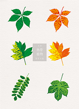 熱帶植物綠色黃色葉子ai矢量素材