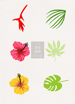 熱帶植物ai矢量元素花朵綠色清新